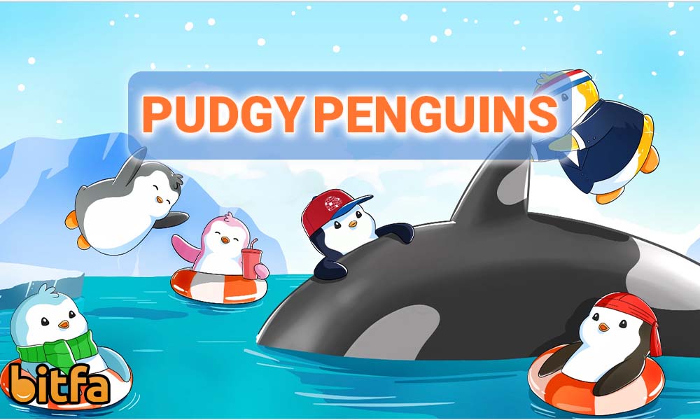 کالکشن pudgy penguins چیست؟ آشنایی با NFT پنگوئن‌های تپل