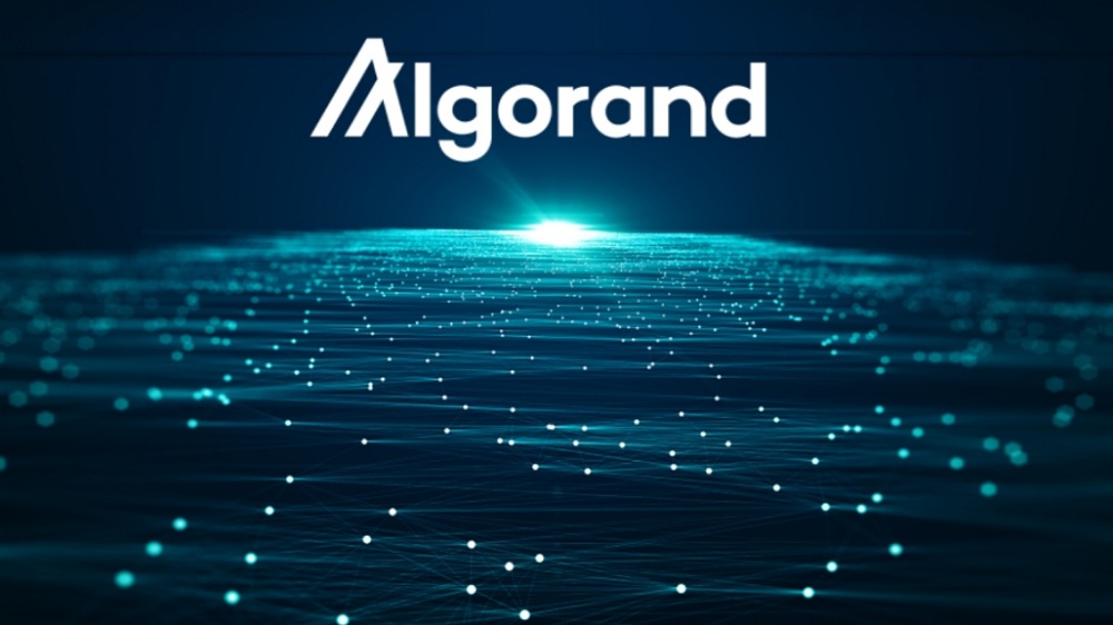 سرمایه گذاری ۳۵ میلیون دلاری Algorand در Holdnaut