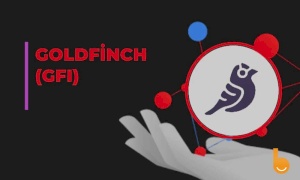 ارز دیجیتال GFI چیست؟ آشنایی با پروتکل Goldfinch