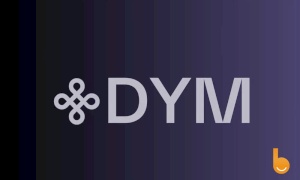 شبکه دایمنشن چیست؟ آشنایی با ارز دیجیتال DYM