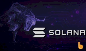 رالی سولانا-قیمت SOL از 150دلار فراتر رفت، این صعود تا کجا ادامه دارد؟